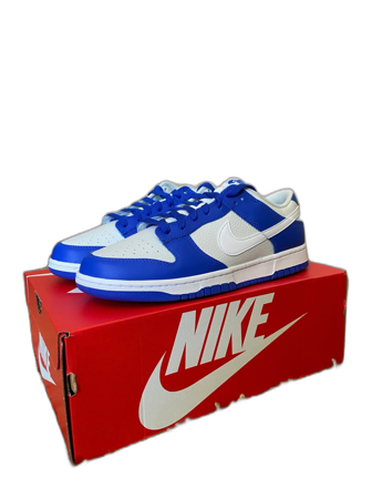 Nike dunk Low "Blue and White"