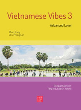 Vietnamese Vibes 3. Advanced level. Ediz. bilingue Phan Trang