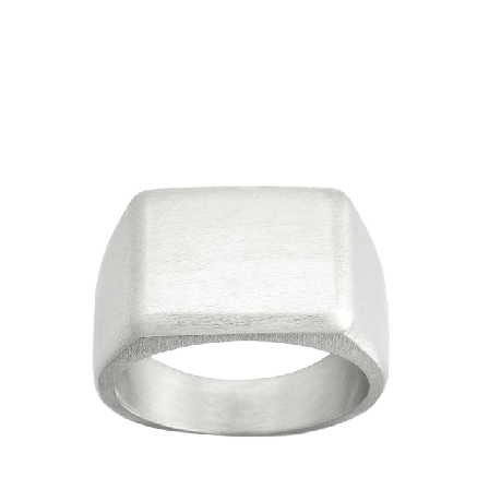 Edblad Cole Signet Ring Matt Steel Smycken & klockor Dam Grå 21 MM