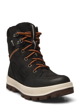 Superfit | Tedd | N/A