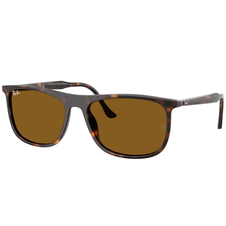 Ray-Ban RB2216 Polished Havana Brown