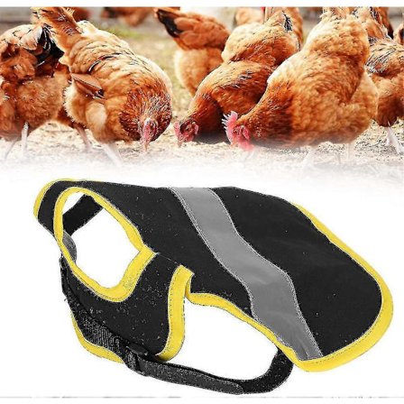 3 stk. Hønse Refleksvest Justerbar Kyllingsele Gå Kylling Sal Kyllingforkle For Hønse Fjærbeskyttelse Holder For And Hønse Gås Poult