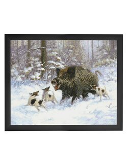 Bild Wildschweine - Duftin