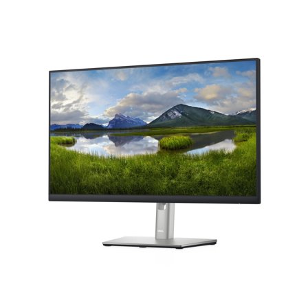 DELL P2422H - LED-skjerm - Full HD (1080p) - 24"