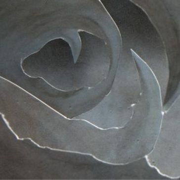 I am life A-SYMMETRY