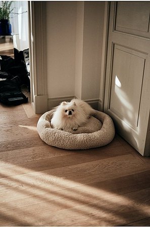 Jotex - Legowisko Dla Psa/kota Bezowy - YOSHI - Kup Legowisko dla psa/kota firmy Jotex