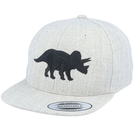Kiddo Cap - Gris snapback Gorra - Kids Triceratops Heather Grey Snapback @ Hatstore