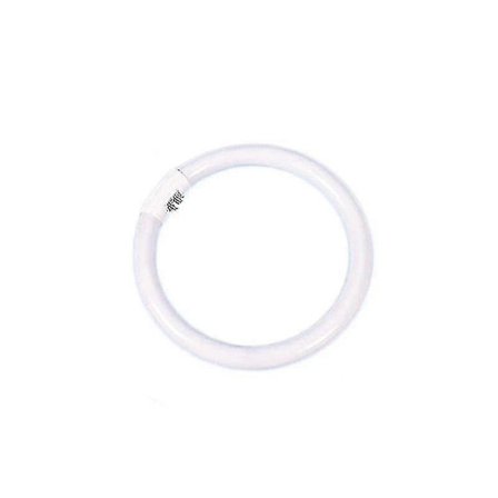 Ringlampe Trefarvet T5-hvidt Lys 22w Ydre Diameter 18cm (22w)