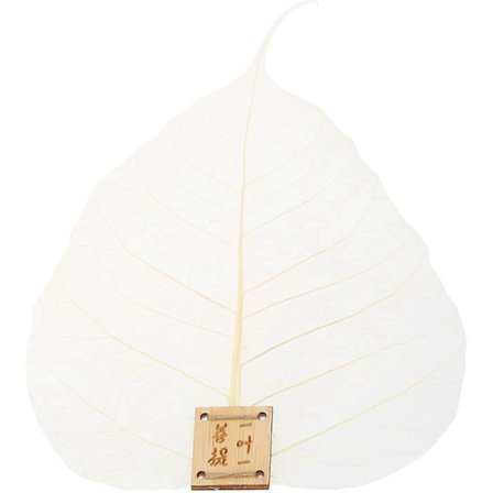 Te-infusionsenhet Te Kaffefilter Bladfilter Tesil Dryckesartiklar Teservis Te-ceremoni Verktyg -Yx