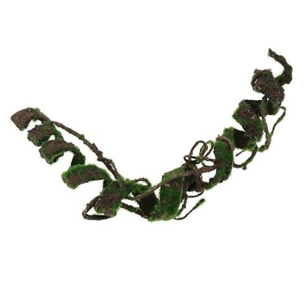 Repitals Klätterställning Naturlig Habitat Dekor För Geckos