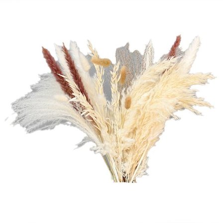 30 stk. Tørrede Siv Serie Små Pampas Blomster Dekoration Kunstige Ægte Planter Bryllupsdekoration Dekoration