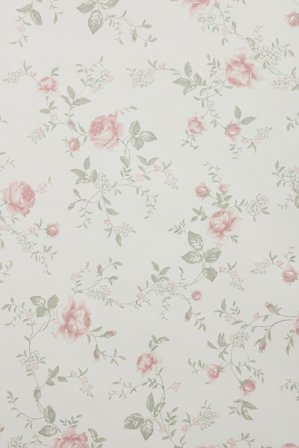 Newbie | Tapet | Hvit