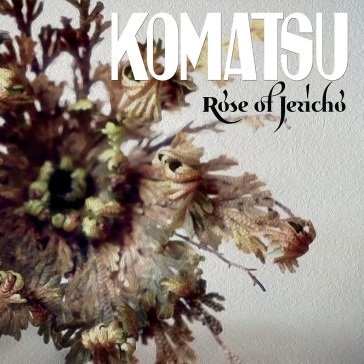 Rose of jericho KOMATSU