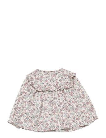 Amur Patterned Mango