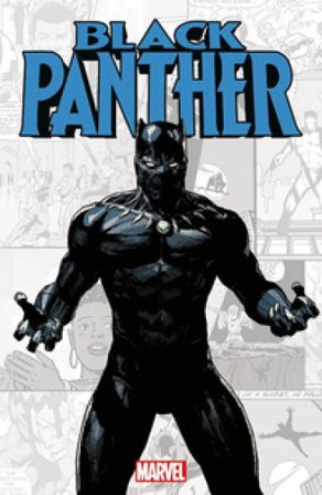 Black Panther. Marvel-verse Peter B. Gillis