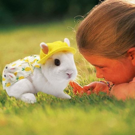 Justerbar Bomulds Kanin Tøj Kanin Kostume Outfit til Fret Kanin Hamster Ananas Fuld Sæt