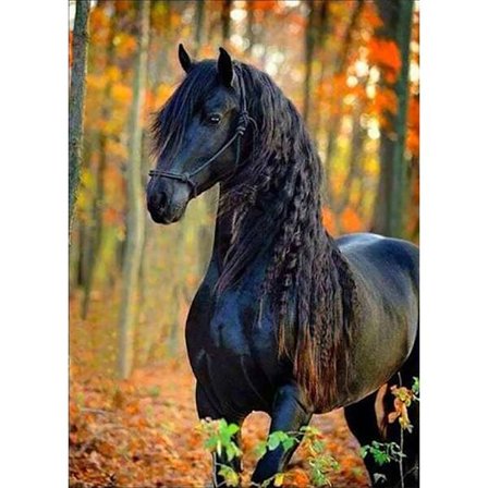 30x40cm, mørk hest 5d diamantmalet rhinestones broderi lærred