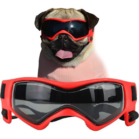 Hunde Goggles til små hunderacer Hundesolbriller, nemme at bære Hundesolbriller med UV-beskyttelse til små/mellemstore hvalpe