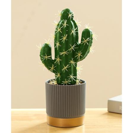Keinotekoinen kaktus Cactus Creativ vihre 22-28cm 1 sarja