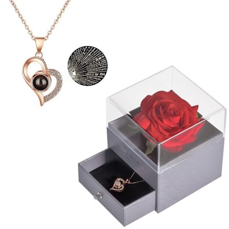 Bevarad äkta ros med I Love You-halsband på 100 språk