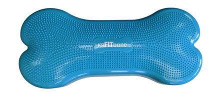 FitPAWS Giant Balanseplattform, Turkis - 90x40x18cm