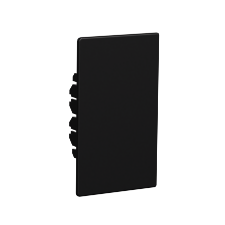 Schneider Electric INS60606 Endestykke svart, Installasjonsmaterial