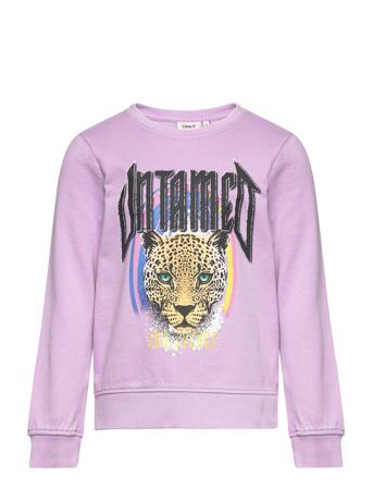 Kmglucinda Reg L/S Untamed Box Swt Tops Sweatshirts & Hoodies Sweatshirts Pink Kids Only