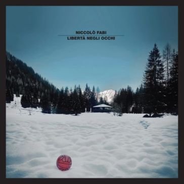 Liberta' negli occhi Niccolò Fabi
