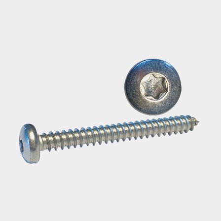 Skruv Cylinderhuvud 5,5 x 19 A4 Torx-spår ISO14585 10st.