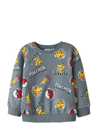 name it | Nmmsilo Pokemon Nreg Sweat Bru Sky | 98
