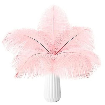 10 st strutsfjädrar naturlig bulk