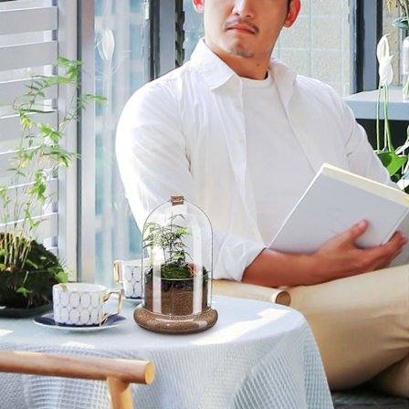 Glass Terrarium Klar Kuppel Terrarium Hjem Mikro Landskap Vase Terrarium Krukke med Luftehull