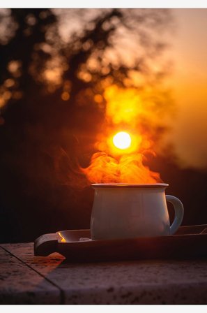 Venture Home - Plakat Morning coffee - Orange - Posters - 30X40 - Fra Homeroom