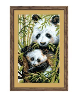 Bild Pandas - Riolis
