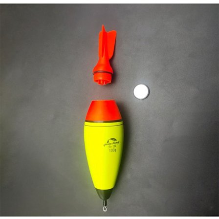 EVA Fishing float Luminous float 60G 60G
