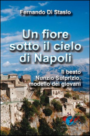 Un fiore sotto il cielo di Napoli. Il beato Nunzio Sulprizio modello dei giovani Fernando Di Stasio