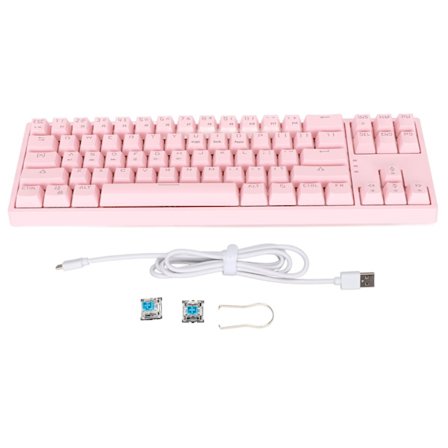 Mekanisk tastatur 71 taster Blå switch RGB baggrundsbelysning Side lysstrimmel Type C Gaming tastatur til GamingPink