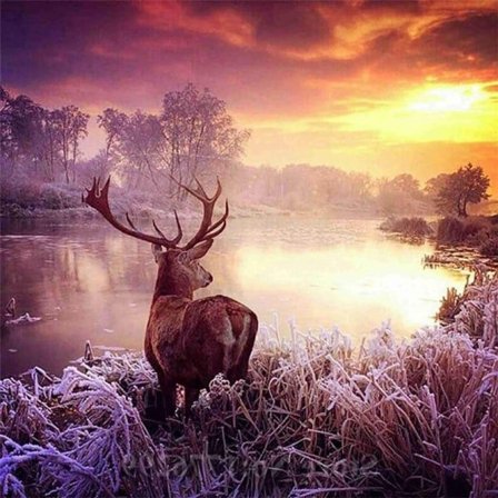 IC Diamantmaleri Fuld Sæt Hjorte ved Søen, Diamantmaleri