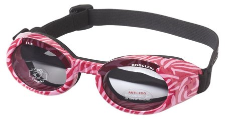 Doggles - Hundebriller ILS - Pink Zebra / Smoke Lens - Hundebriller fra Doggie.no - for store hunder