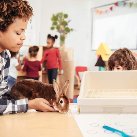 Hjørne kanin sandbakke hjørne toilet hus, stor KLB