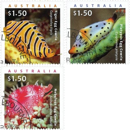 Australien - Farverige marine snegle - Stemplet sæt 3v