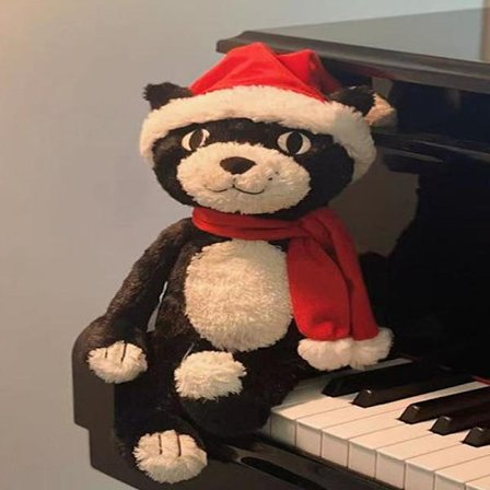 Jellycat pehmolelu, pehmeä ja mukava, täydellinen lapsille, ystävänpäivälahjaksi, keräilyyn, 32 cm joulupukinhattu musta kissa.