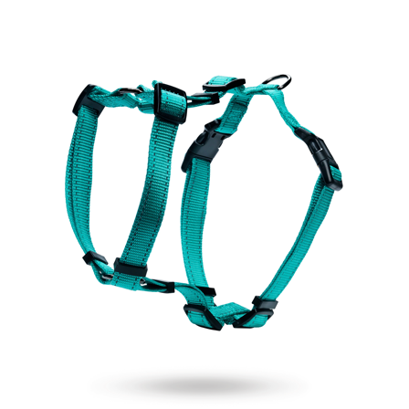 Dogman Hundsele Iris - Turkos - Hundsele- För stora hundar