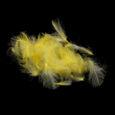 Premium CDC - Pale Yellow