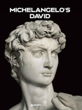 Michelangelo's David Franca Falletti