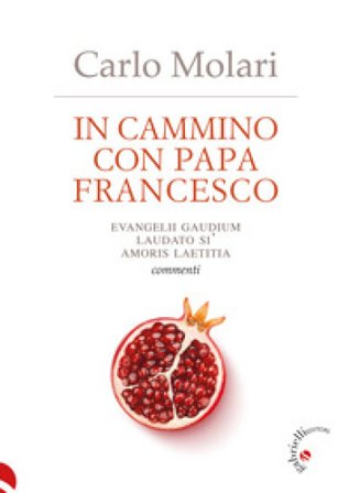 In cammino con papa Francesco. Evangelii Gaudium, Laudato si', Amoris laetitia. Commenti Carlo Molari
