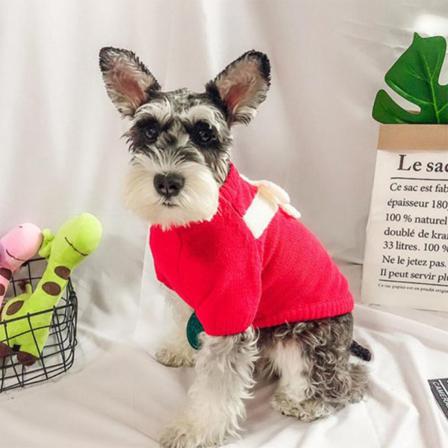 Katter Mode Rosett Öppen Knapp Varm Jacka Tvåbenta Hundkläder