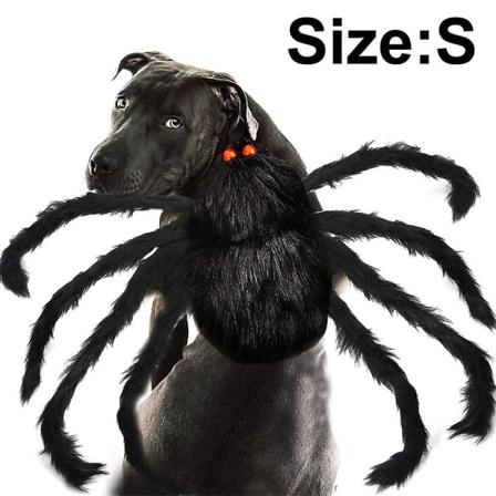 Husdjursdräkt Spindel Halloween Husdjur Rollspel Hund Katt Kostym S Black
