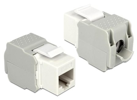 Delock Keystone module - modulinnlegg
