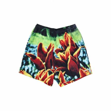 Obey shorts easy bloom Orange, Herre Chino Shorts